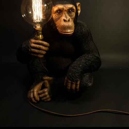 Chimp lamp shop